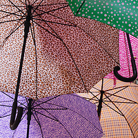 Buy canvas prints of Umbrellas by Ceri Jones