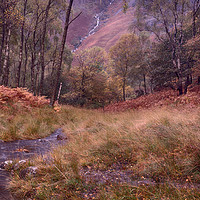Buy canvas prints of Cumbrian Autumn Scene by Ceri Jones