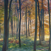 Buy canvas prints of Digital Art - Autumn Woodland Dawn by Ceri Jones