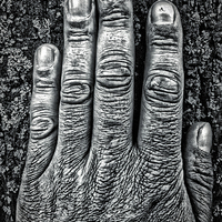 Buy canvas prints of hand by mark lindsay