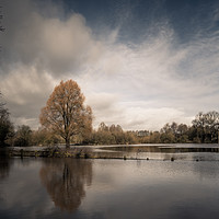 Buy canvas prints of Caldicot Country Park by Mark Hobbs