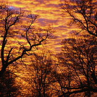 Buy canvas prints of Morning Sky by Stuart Gerrett