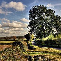 Buy canvas prints of DOWN A COUNTRY LANE by len milner