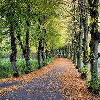 Buy canvas prints of HAND IN HAND THROUGH THE AVENUE OF AUTUMN  by len milner