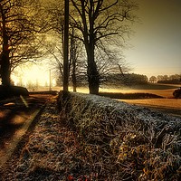 Buy canvas prints of ON A COLD AND FROSTY MORNING by len milner