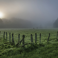 Buy canvas prints of  misty sunrise meadow by Eric Fouwels