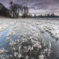 Buy canvas prints of Frozen Mere by Julian Mitchell
