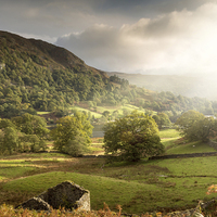 Buy canvas prints of Towards Rydal Water by Julian Mitchell