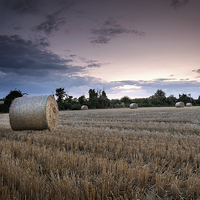 Buy canvas prints of  After the Harvest by Julian Mitchell