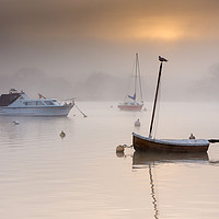 Buy canvas prints of Misty River by Julian Mitchell