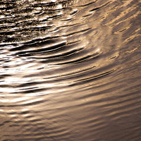Buy canvas prints of Sea Ripples by 