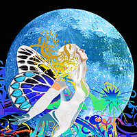 Buy canvas prints of Moon Fairy by Matthew Lacey