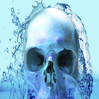 Buy canvas prints of Skull in Water by Matthew Lacey