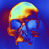 Buy canvas prints of SKULL by Matthew Lacey