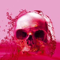 Buy canvas prints of Red Skull in Water by Matthew Lacey