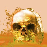 Buy canvas prints of Golden Skull in Water by Matthew Lacey