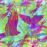 Buy canvas prints of Birds in Flight 2 by Matthew Lacey