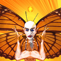 Buy canvas prints of Metamorphosis of Nosferatu  by Matthew Lacey
