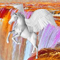 Buy canvas prints of Pegasus  by Matthew Lacey