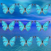 Buy canvas prints of Blue Butterflies by Matthew Lacey