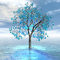 Buy canvas prints of Crystal Blue Tree by Matthew Lacey