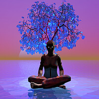 Buy canvas prints of Meditation Tree by Matthew Lacey