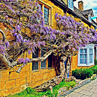 Buy canvas prints of Wisteria Blooms in Broadway by Jason Williams