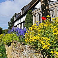 Buy canvas prints of Cottage garden in bloom. by Jason Williams