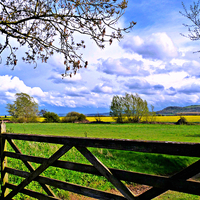 Buy canvas prints of Countryside Gateway. by Jason Williams