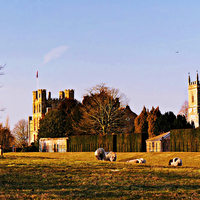 Buy canvas prints of  Coughton Court Estate. by Jason Williams