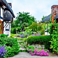 Buy canvas prints of  Cottage gardens in bloom.. by Jason Williams