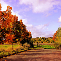 Buy canvas prints of  Changing Seasons. by Jason Williams