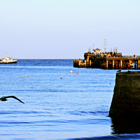 Buy canvas prints of  Swanage delight.  by Jason Williams