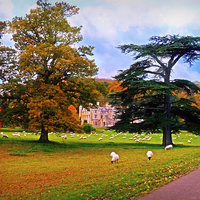 Buy canvas prints of Autumnal View of Dumbleton Hall  by Jason Williams
