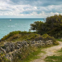 Buy canvas prints of  Durlston Country Park View by Jason Williams