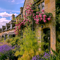 Buy canvas prints of  Cotswold Colours by Jason Williams