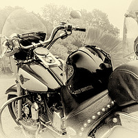 Buy canvas prints of Born To Live, Live To Ride by Jason Williams