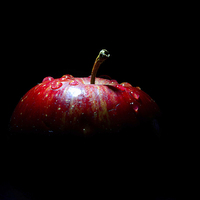 Buy canvas prints of  magic apple  by lee smith