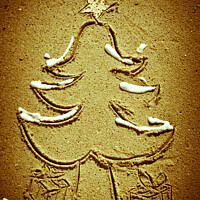 Buy canvas prints of Xmas tree in the sand by Sandra Broenimann