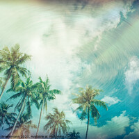 Buy canvas prints of Palmtrees in Boracay, Philippines by Sandra Broenimann