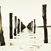 Buy canvas prints of Wooden pillars at low tide by Sandra Broenimann