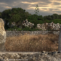 Buy canvas prints of Stone Walls Menorca by Deanne Flouton