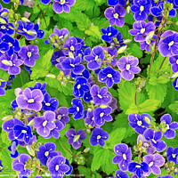 Buy canvas prints of Perky Blue Flowers by Deanne Flouton