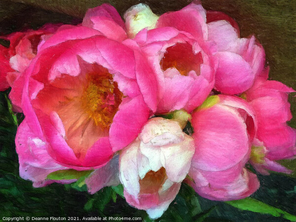 Peonies in Bloom Picture Board by Deanne Flouton