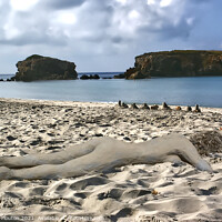 Buy canvas prints of Surreal Sand Sculpture Beach Body by Deanne Flouton