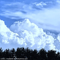Buy canvas prints of Convergence of Trees and Clouds by Deanne Flouton