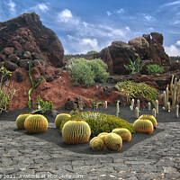 Buy canvas prints of  Cactus Garden Oasis by Deanne Flouton