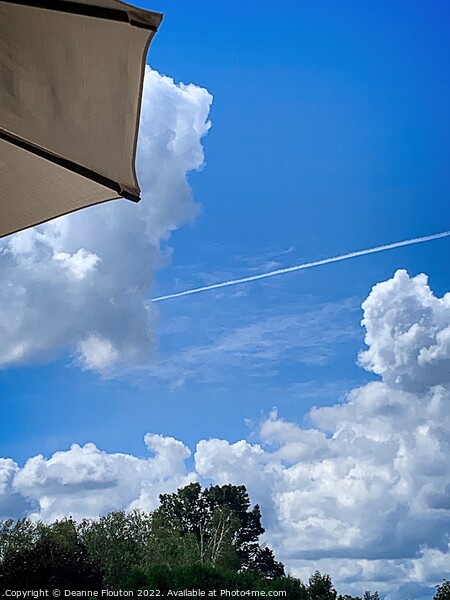 Ethereal Umbrella Sky Flight Picture Board by Deanne Flouton