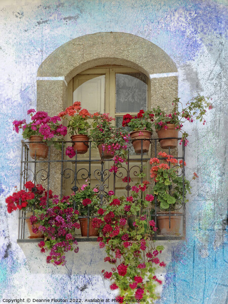 Geranium Balcony Blooms Picture Board by Deanne Flouton