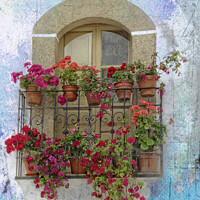 Buy canvas prints of Geranium Balcony Blooms by Deanne Flouton